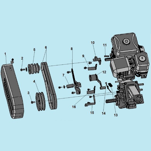 Кожух ремня и ремень Champion BC9714